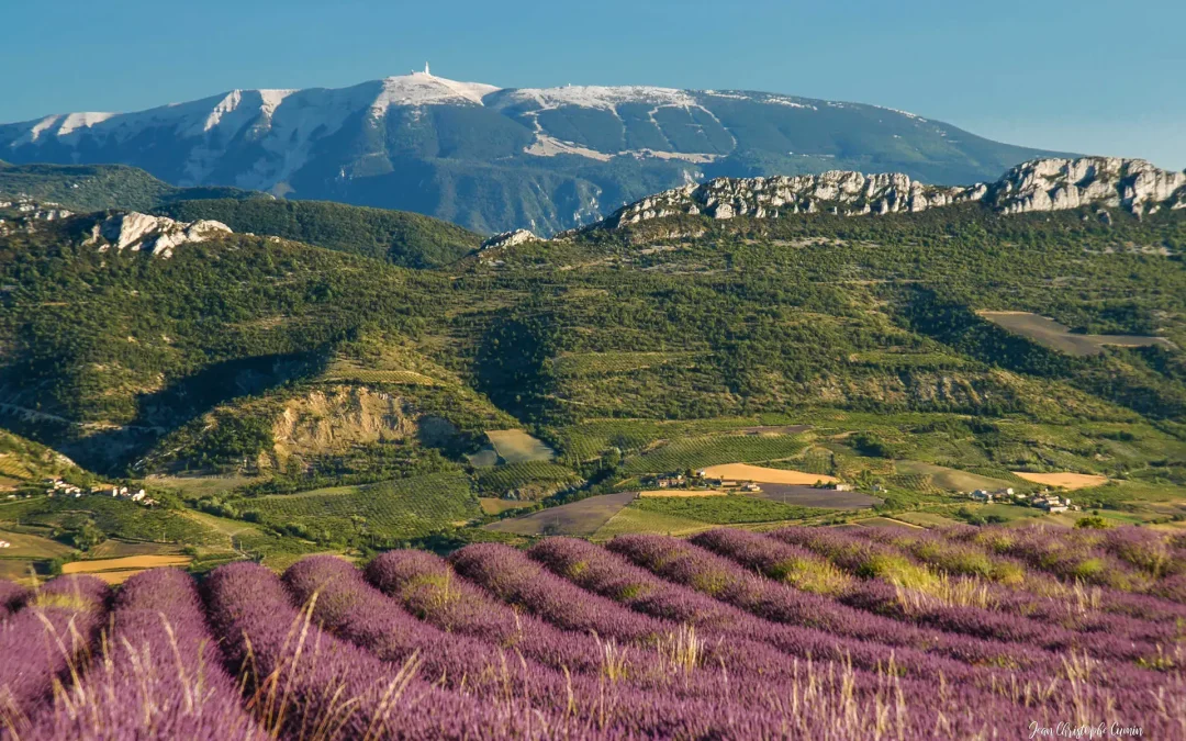 Menuiseries Carpentras : quelle menuiserie choisir