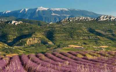 Menuiseries Carpentras : quelle menuiserie choisir