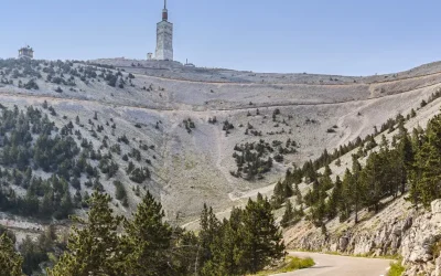 Les Bois du Ventoux