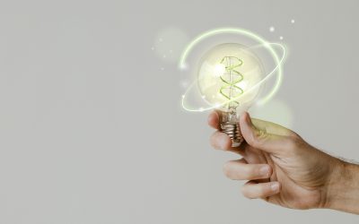 Économies d’énergie : la véranda Vaucluse, un pas vers une maison éco-responsable